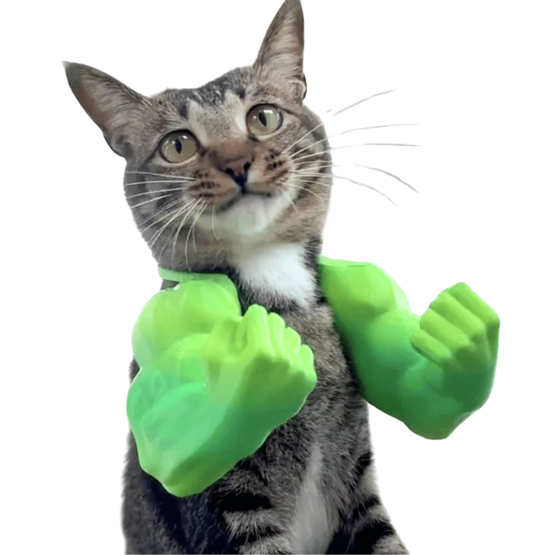Funny Cat Bodybuilder Costume Arms