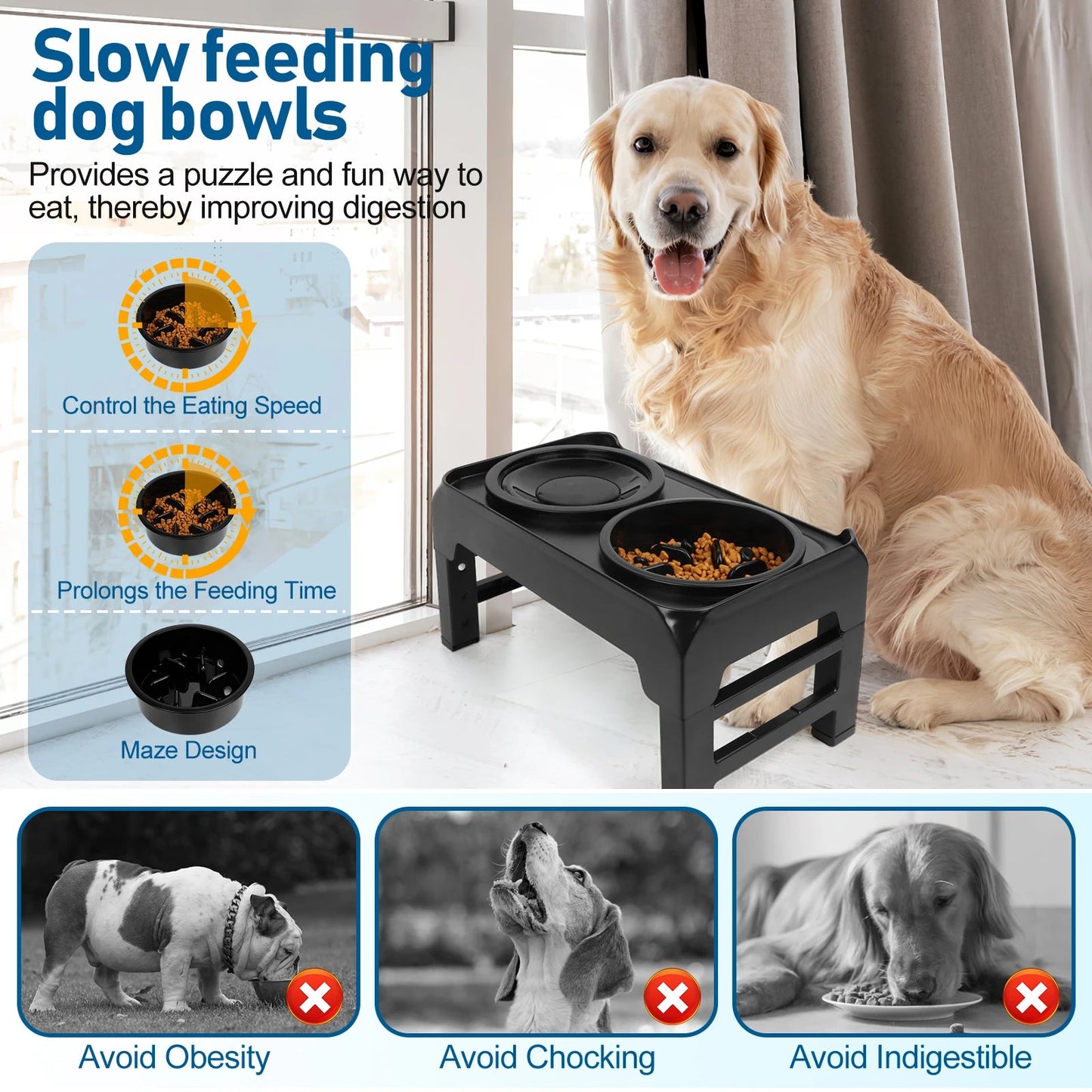 Elevated Dog Feeder with Anti-Gulping Dog Food Bowls