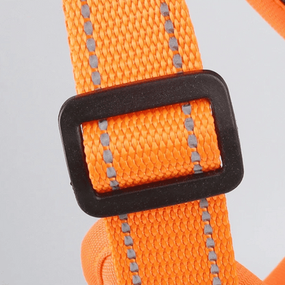Comfortable Puppy Training Harness with Reflective Padded Vest