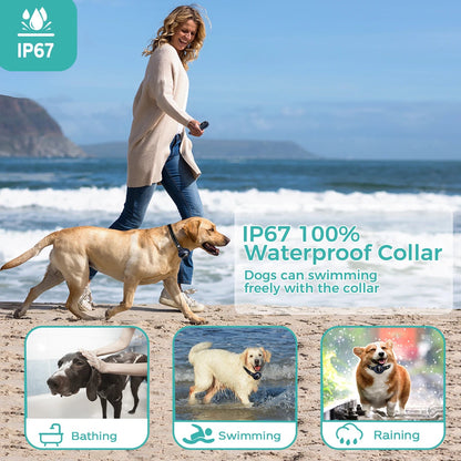 Rechargeable 2-in-1 Dog Training Collar & Anti Bark Device