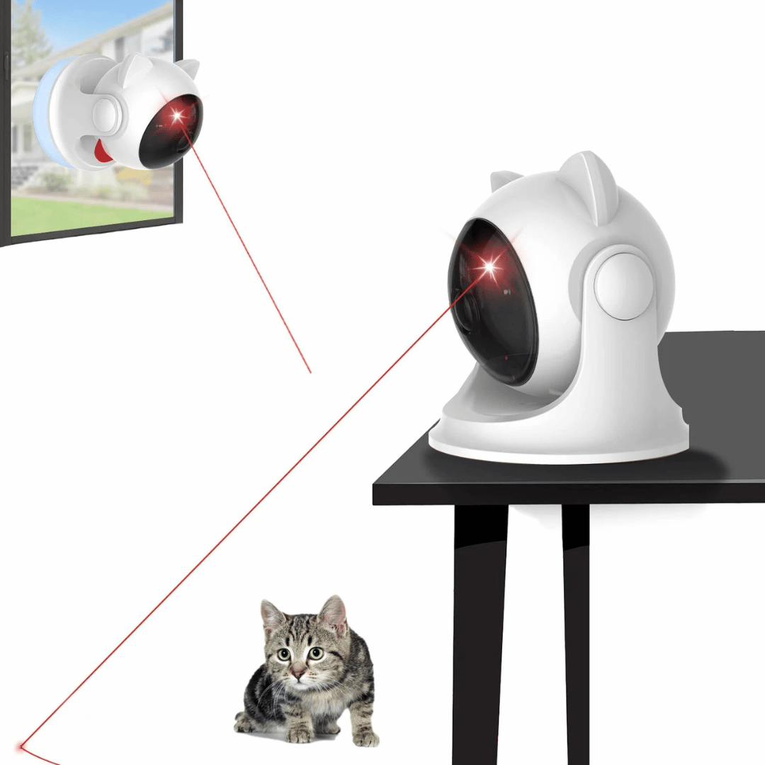 Fun Interactive Laser Pet Toy