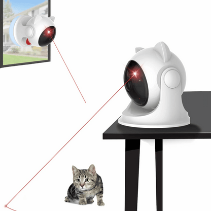Fun Interactive Laser Pet Toy