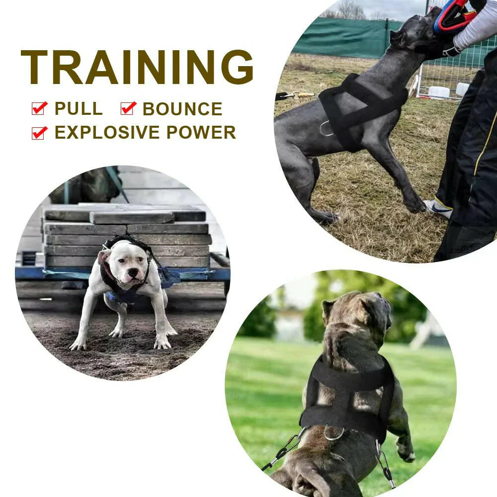 Tough Dog Pulling Harness with Padded Support