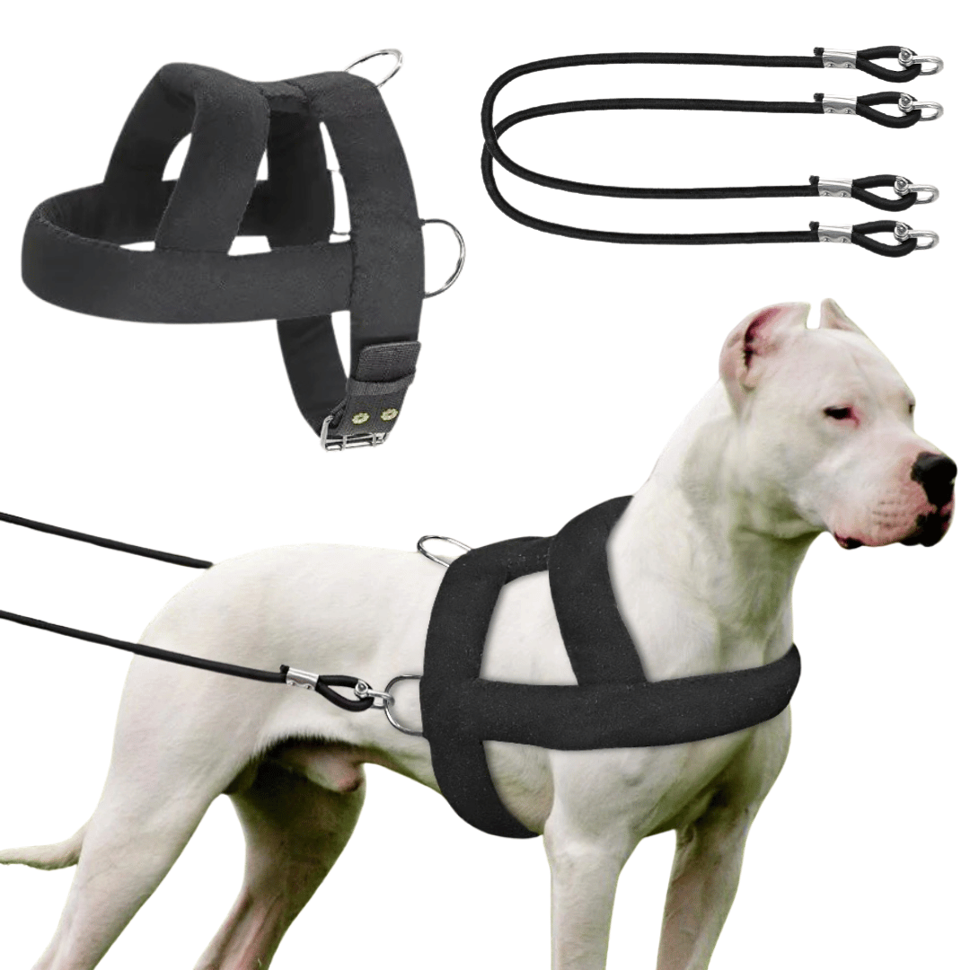 Tough Dog Pulling Harness with Padded Support
