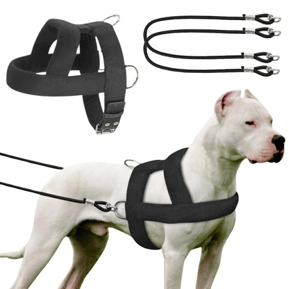 Tough Dog Pulling Harness with Padded Support