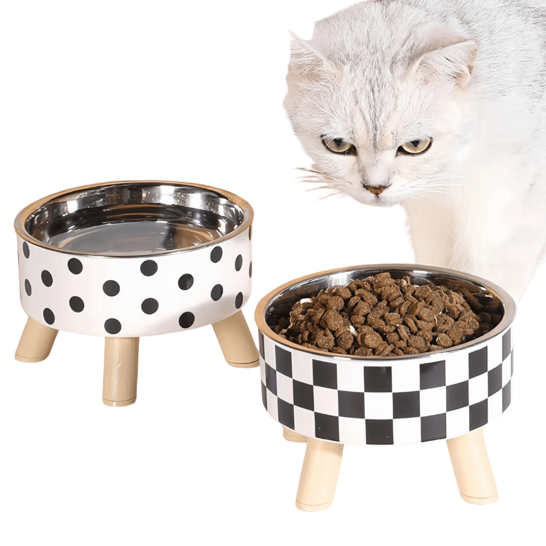 Easy Clean Elevated Dog Food Bowl with Non Slip Base - LifyPet