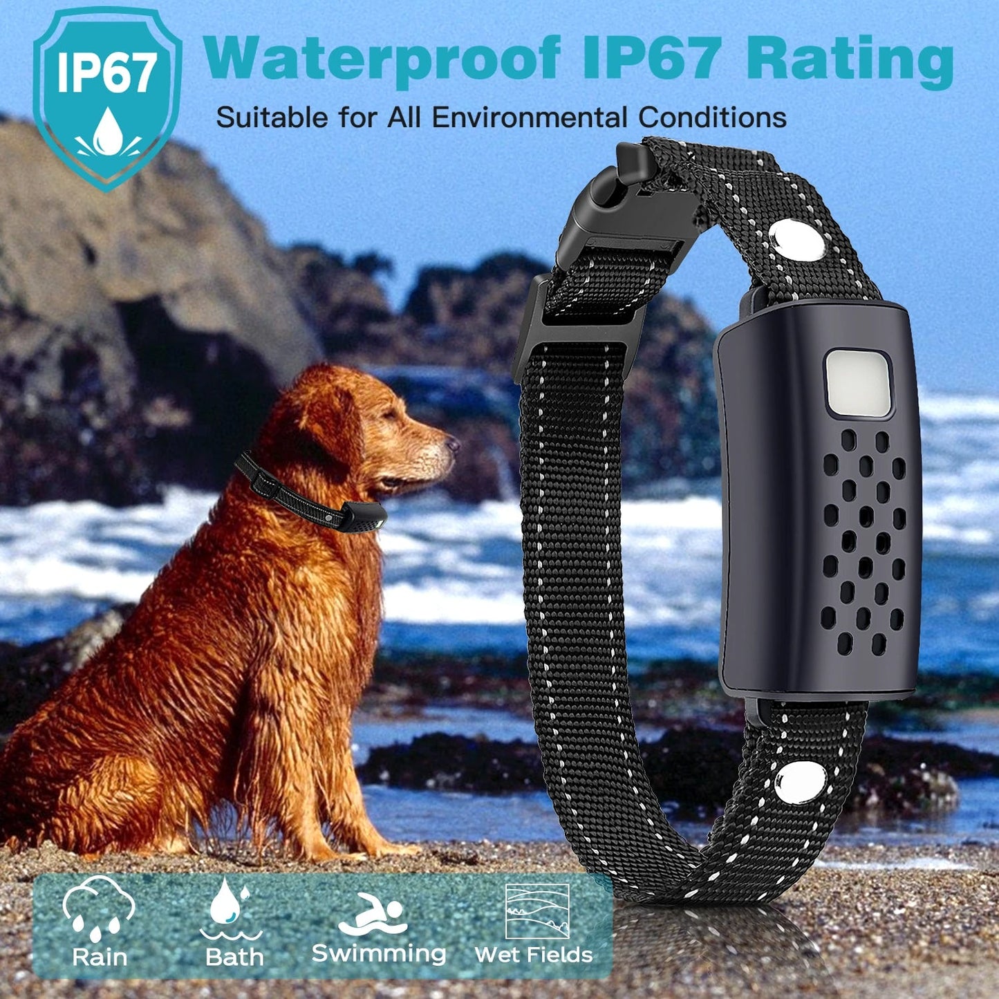 Long Range Waterproof Dog Training Collar & Remote