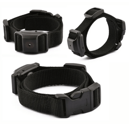 Effective Dog Bark Stop Training Collar for Small Pets