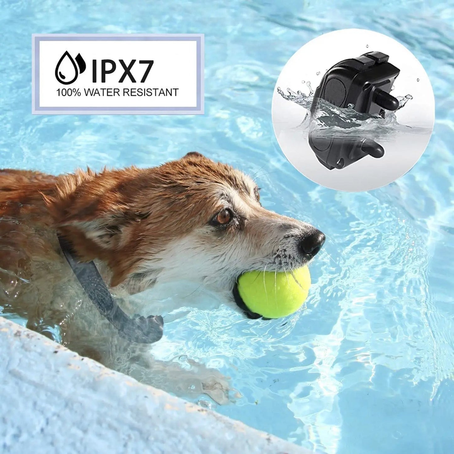 Long Range Rechargeable Dog Trainer Collar