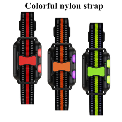 Durable Nylon Pet Training Collar & Remote