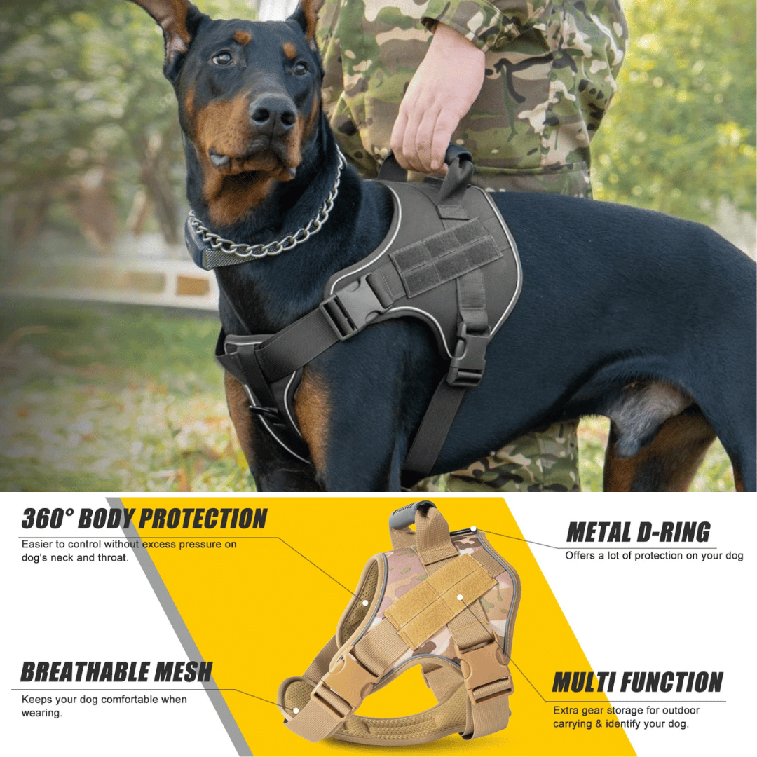 Durable Dog Training Vest with Heavy Duty Harness