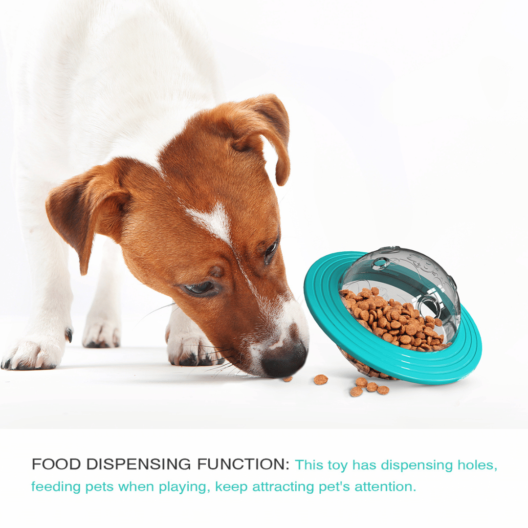 Fun Puzzle Dog Toy for Healthy Slow Eating