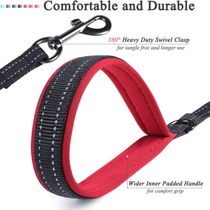 Durable Pet Leash with Soft Grip Handle