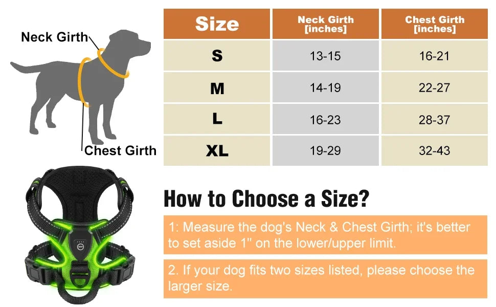 Visible LED Dog Vest for Nighttime Walking Safety