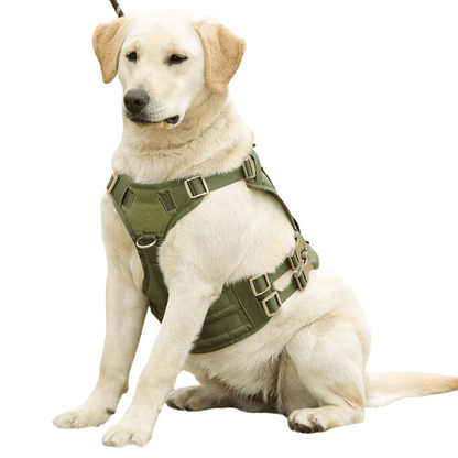 Durable Outdoor Dog Vest with Handle for Large Breeds