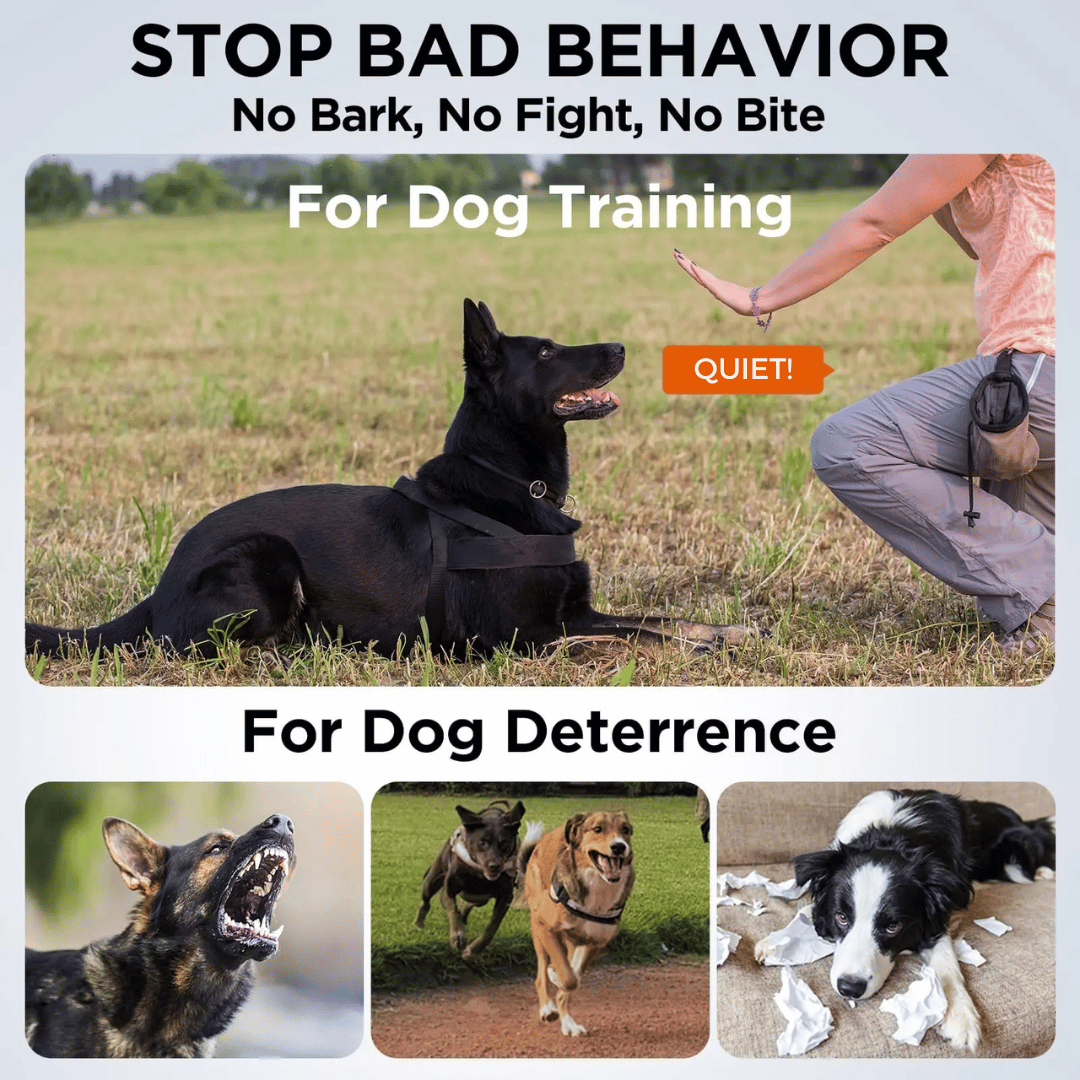 Compact Portable Anti Bark Dog Trainer with Quick Charge