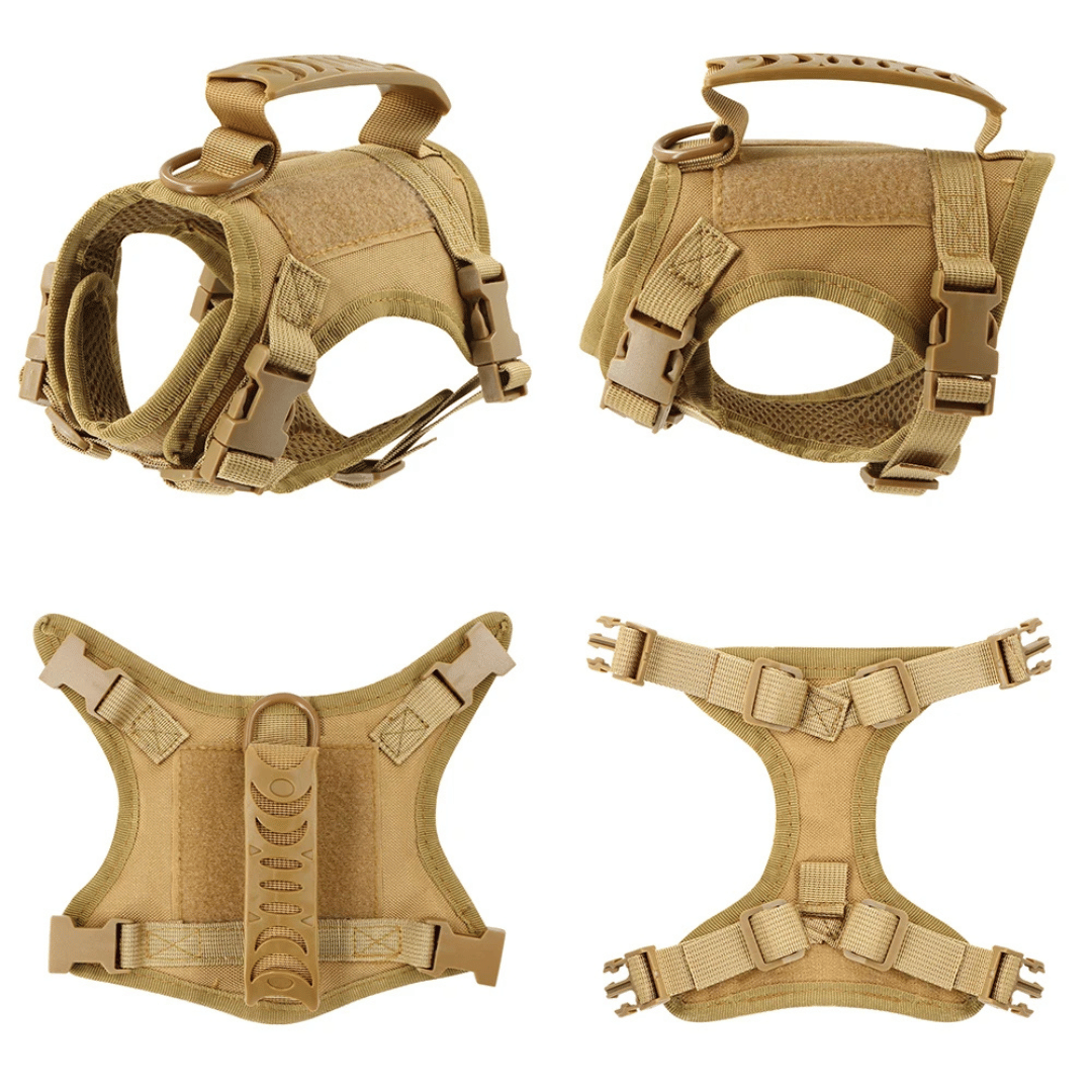 Durable Outdoor Cat Vest & Leash