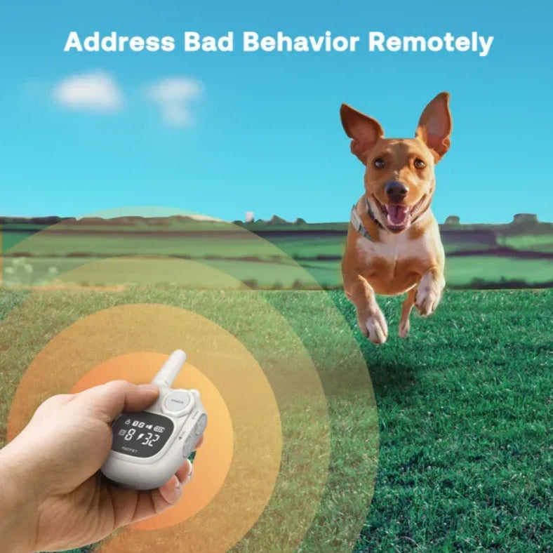 Small Dog Training Collar with Long Battery Life