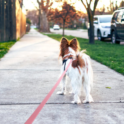Durable Heavy Duty Silicone Dog Leash
