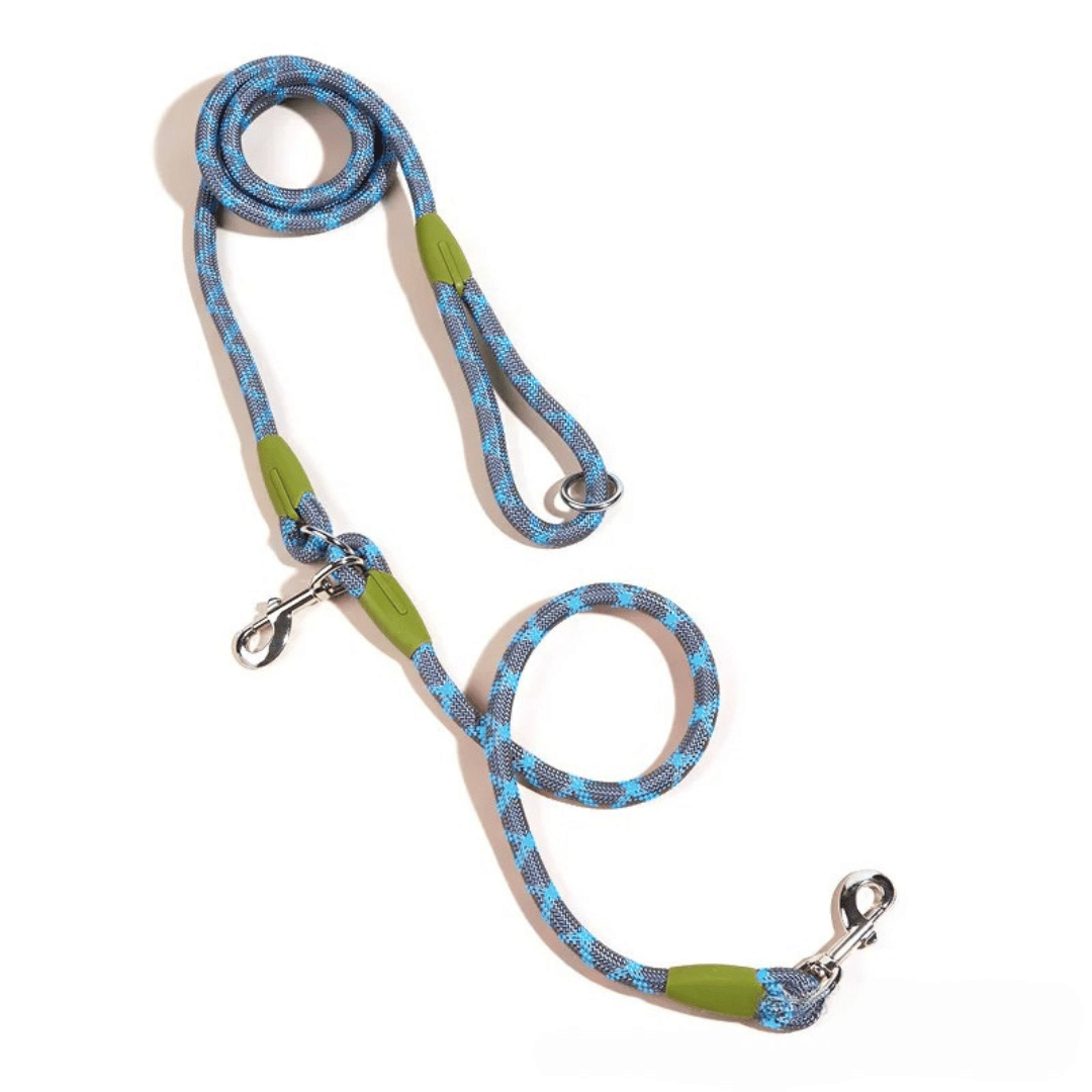 Durable Padded Leash for Running and Big Dogs