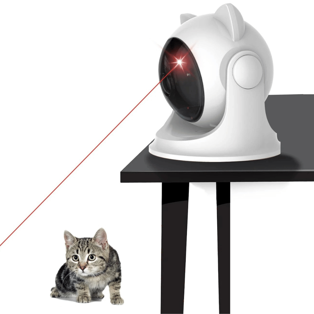 Fun Interactive Laser Pet Toy - LifyPet