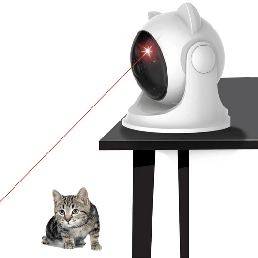 Fun Interactive Laser Pet Toy - LifyPet
