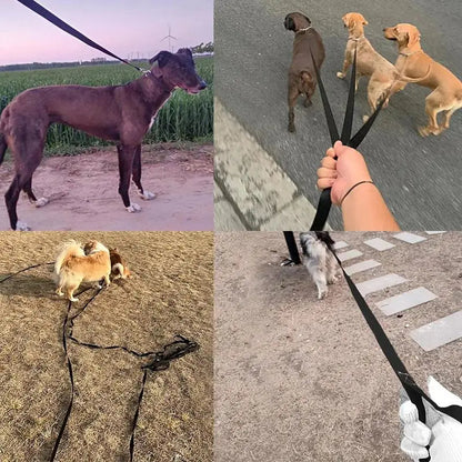 Durable Long-Lasting Nylon Pet Leash