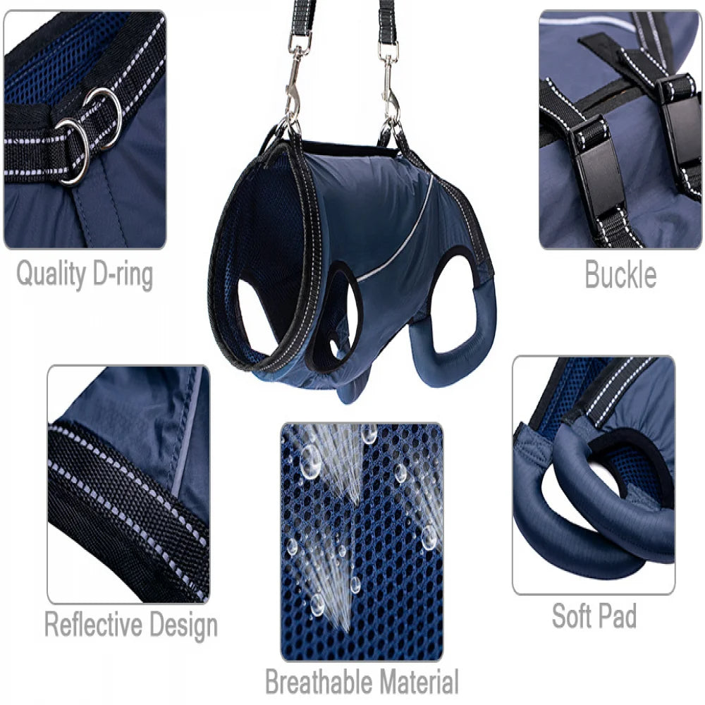Comfortable Support Harness for Senior Dogs