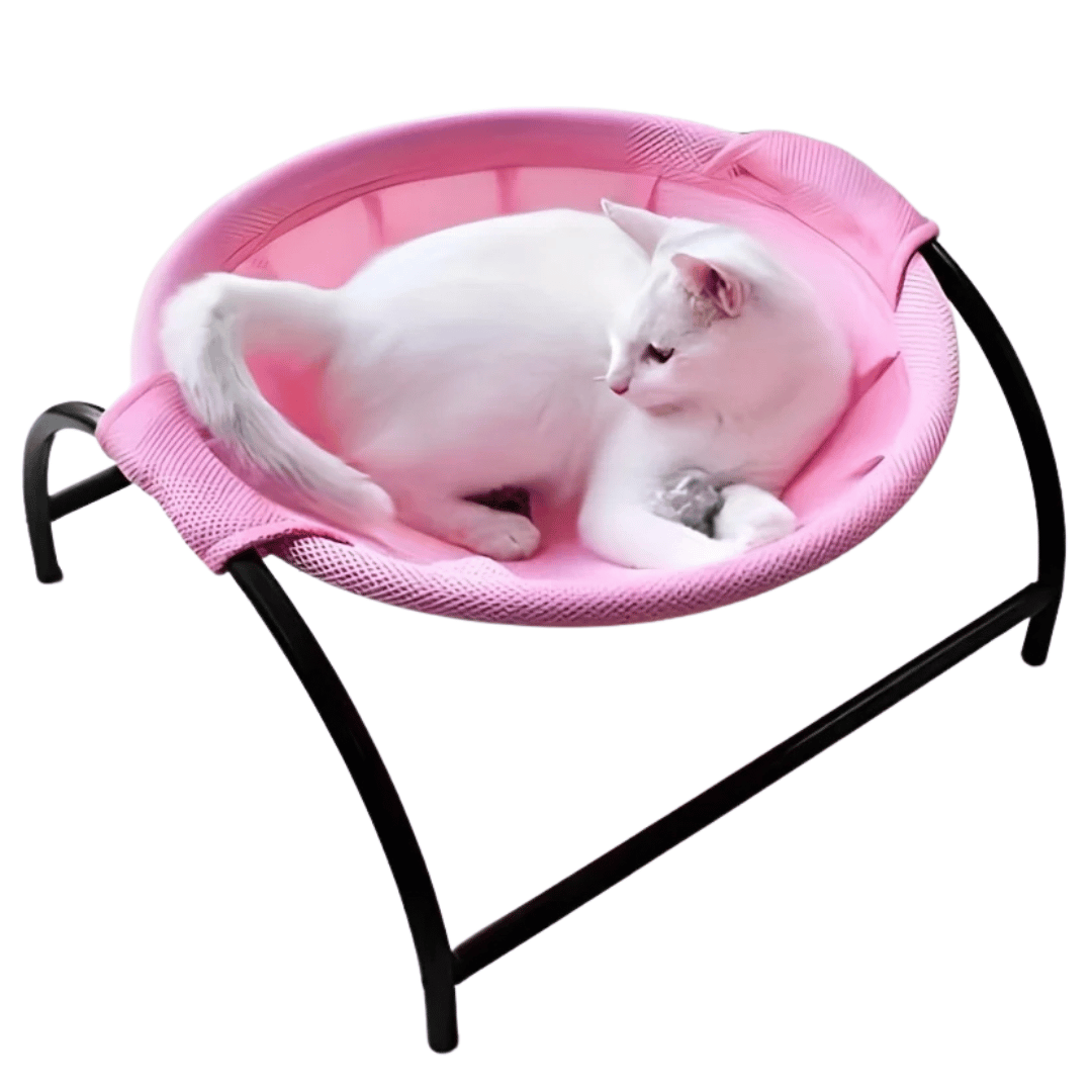 Sturdy Wooden Cat Hammock Bed with Solid Frame
