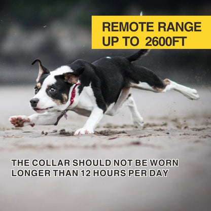 Long Range Dog Training Collar Waterproof Rechargeable