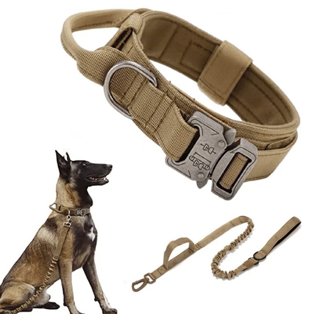 Strong Tactical Dog Collar and Leash Set for Big Dogs