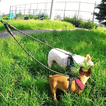 Extra Long Pet Leash Extender with Tangle Free Swivel Clip