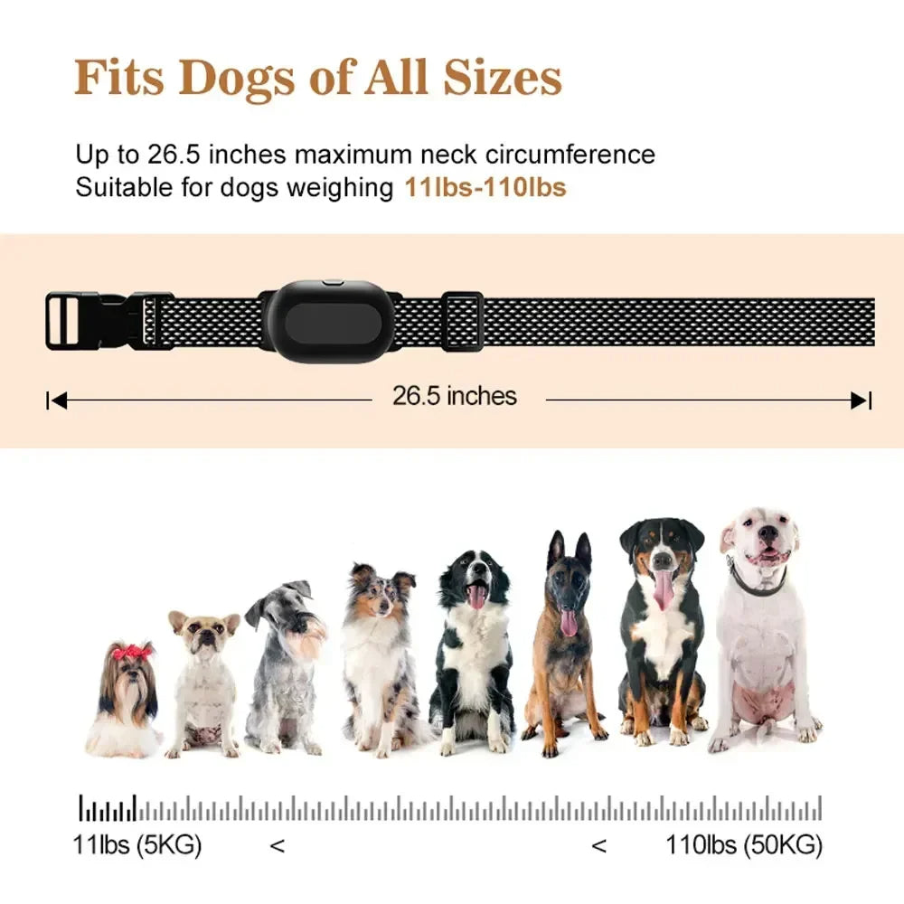 Long Range Remote Dog Training Collar