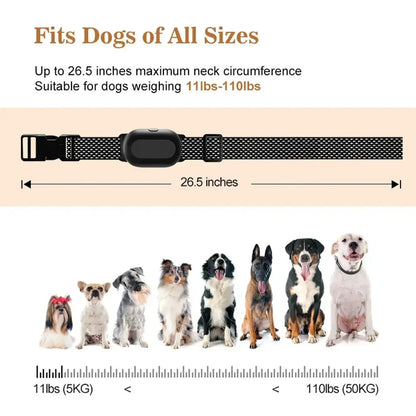 Long Range Remote Dog Training Collar