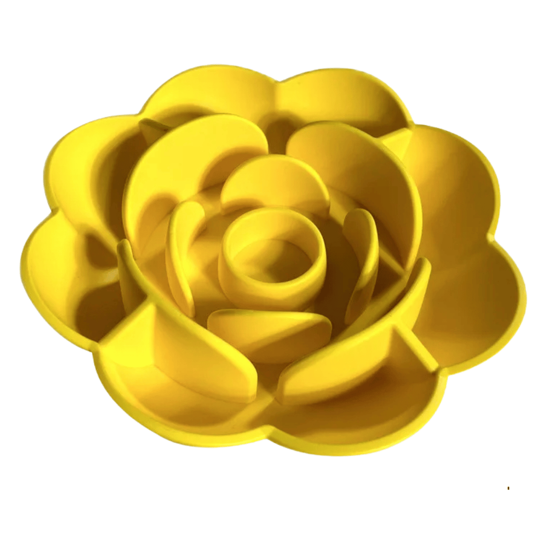 Non-Slip Fun Feeder Dog Bowl for Healthy Eating