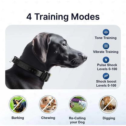 Long Range Remote Trainer Collar for Large Dogs