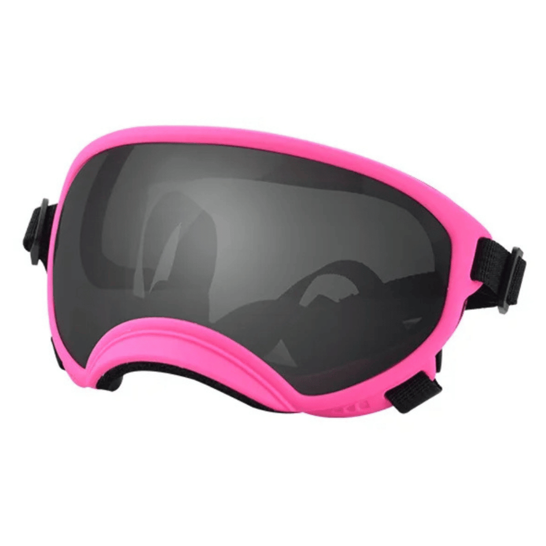 Trendy Pet Shades | Waterproof Dog Sun Glasses