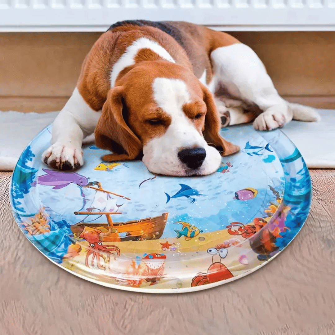 Soft Inflatable Pet Water Bed Mat