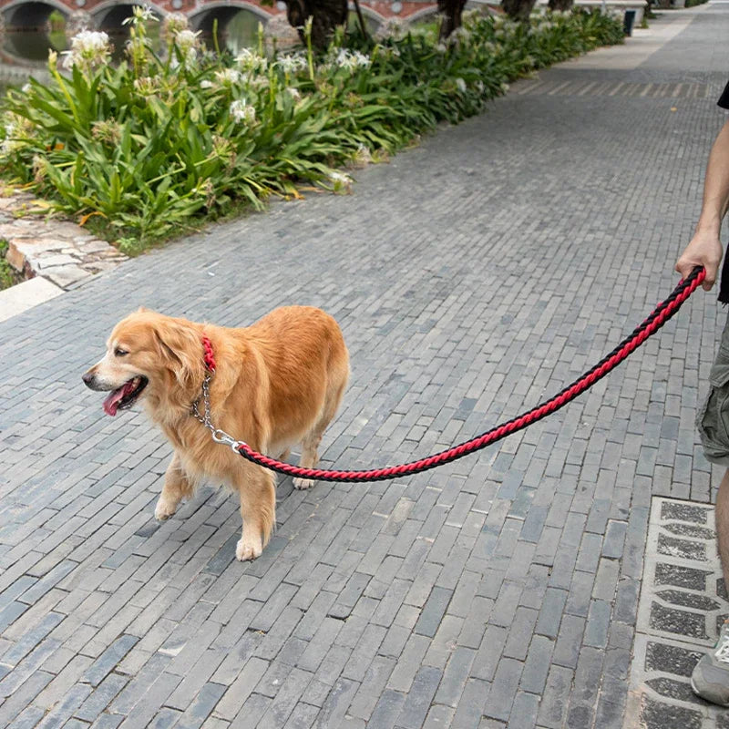 Tough Long-Lasting Braided Dog Leash