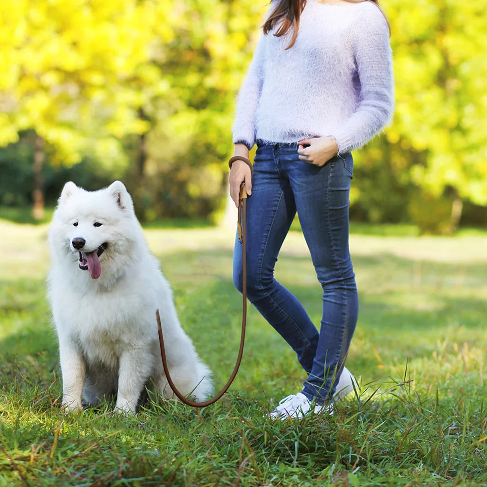 Easy Wear Running Dog Leash with Adjustable Strap