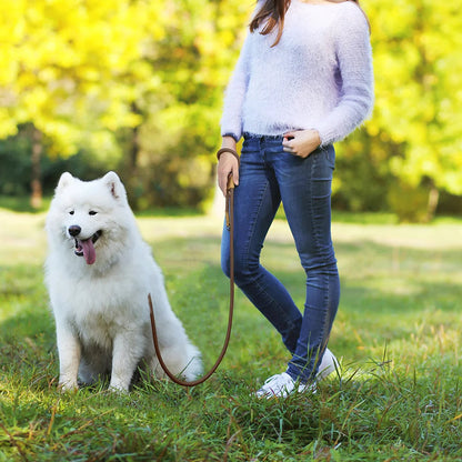 Easy Wear Running Dog Leash with Adjustable Strap