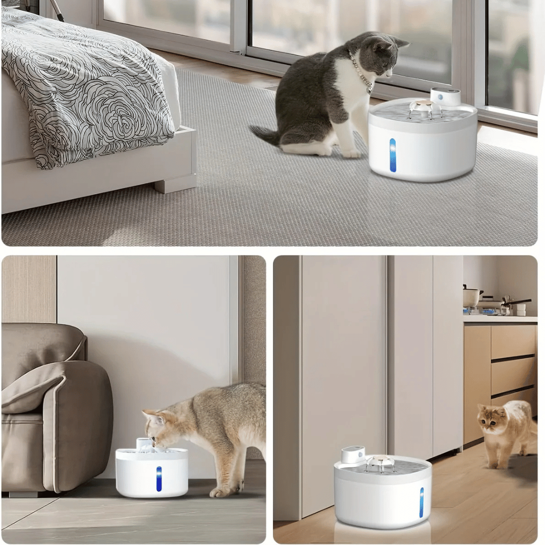 Automatic Refill Pet Water Dispenser for Cats and Dogs