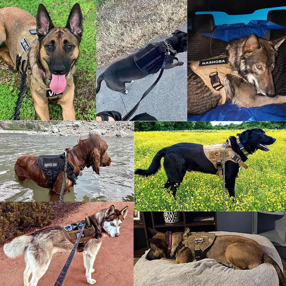 Durable Outdoor Dog Vest Kit | 6-Piece Pouch Set