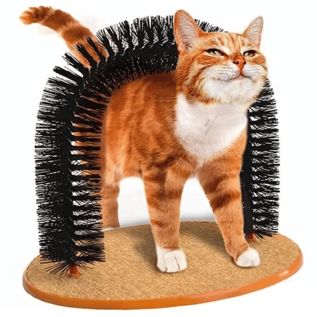 Pet Grooming Brush Arch for Cats to Scratch and Play - LifyPet