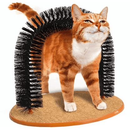 Pet Grooming Brush Arch for Cats to Scratch and Play - LifyPet