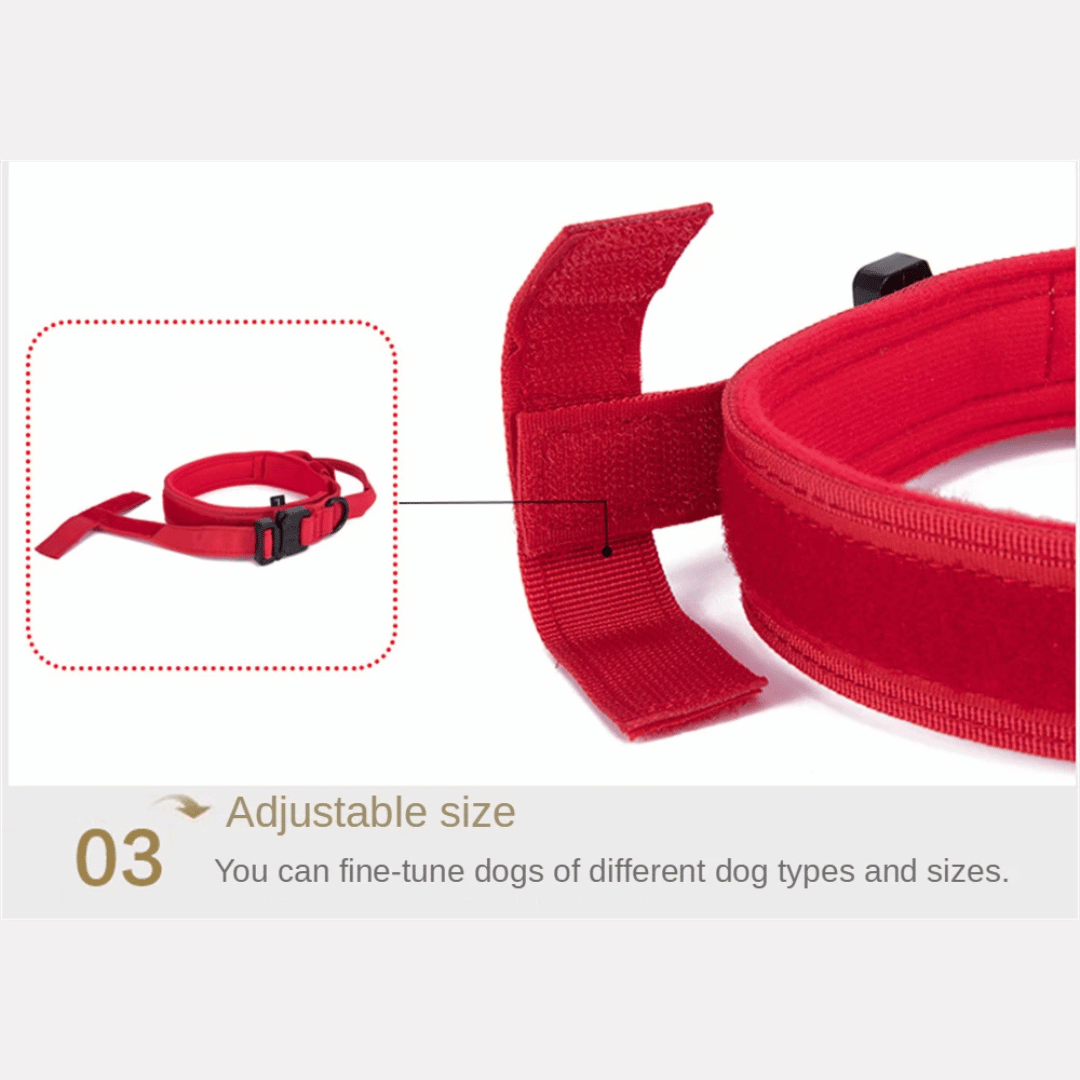 Strong Durable Tactical Dog Collar for Big Dogs