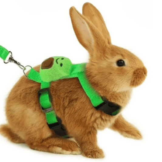 Comfortable Bunny Harness and Leash Set - LifyPet