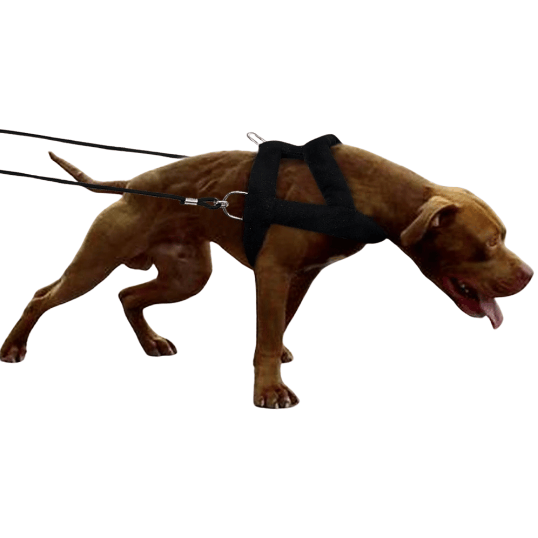 Tough Dog Pulling Harness with Padded Support