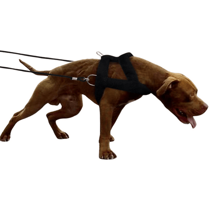 Tough Dog Pulling Harness with Padded Support