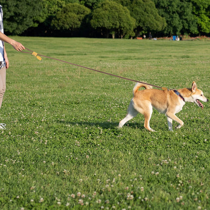 Easy Wear Running Dog Leash with Adjustable Strap